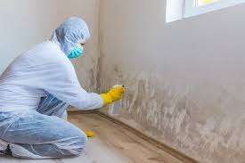 Best Environmental Consulting for Mold Prevention  in Angustura, NM